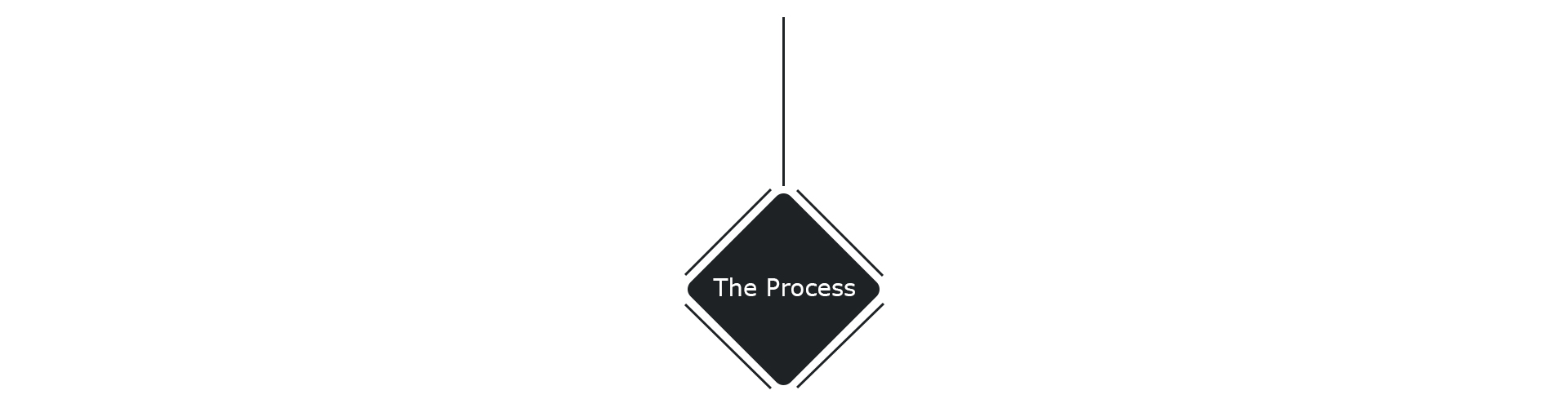 The-Process